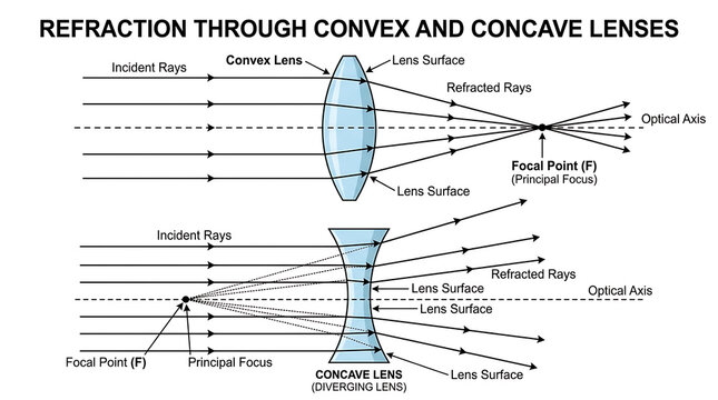 Educational physics diagram illustrating light refraction through convex converging and concave diverging lenses with focal points