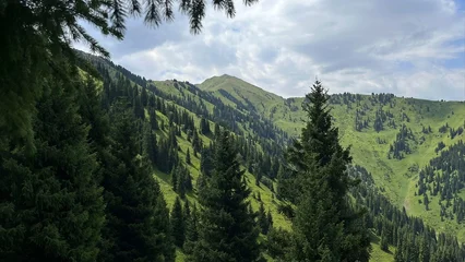 Fototapete Olive Green mountain landscape with evergreen forest, cloudy sky and view of Bukreev peak in Kazakhstan  © thekraynov