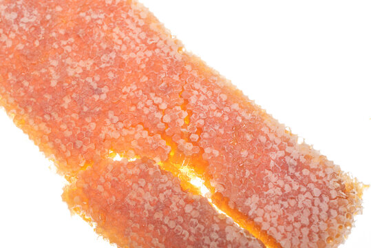 Broken Honeycomb with Visible Honey Cells Isolated on White Background