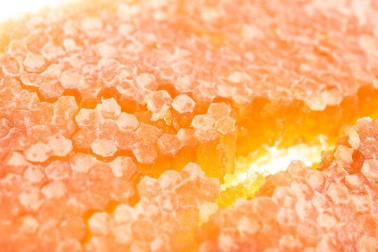 Macro Close Up of Broken Honeycomb with Fresh Honey