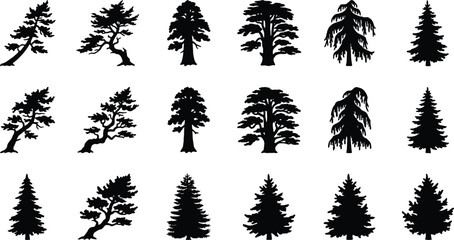 Coniferous tree silhouette icon set featuring pine spruce cedar redwood and fir trees for forest nature graphic design © Shilpi