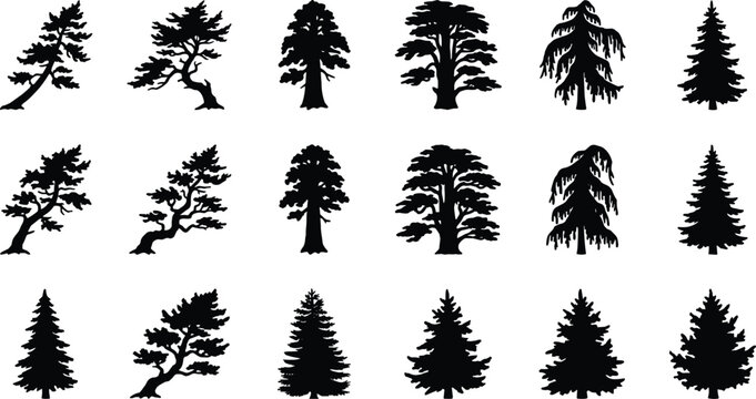 Coniferous tree silhouette icon set featuring pine spruce cedar redwood and fir trees for forest nature graphic design