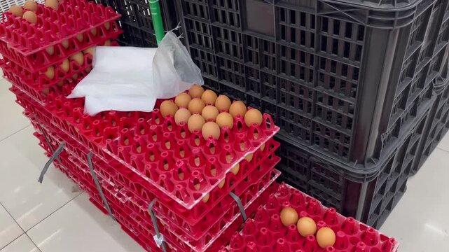 Stack of red and grey plastic egg crates filled with fresh chicken eggs