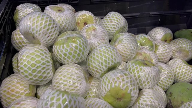 Fresh asian pears wrapped in white protective foam net at market