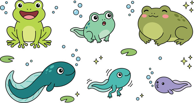 Cute Frog Life Cycle Collection with Adult Frog, Tadpole, Froglet, Toad, Aquatic Amphibian Stages, and Cartoon Vector Illustration Set
