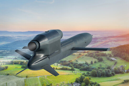 Ukrainian Flamingo cruise missile in flight over land - 3d rendering