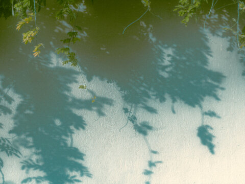 grunge background with space