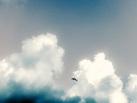 sky and clouds