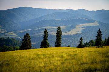 Pieniny, widoki polskich pięknych gór lato © Maciej G. Szling
