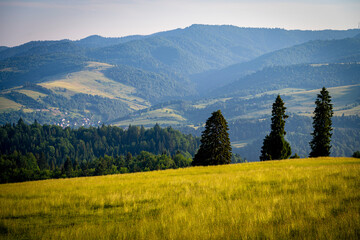 Pieniny, widoki polskich pięknych gór lato © Maciej G. Szling
