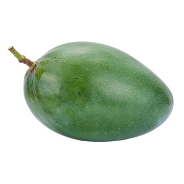 Unripe Mango on White Background: A single, unripened green mango with a short stem rests on a pure white backdrop, highlighting its smooth skin and oval shape.