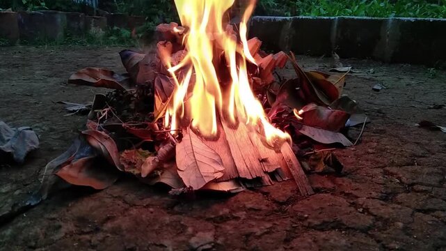 Burning dry leaves and wood outdoors in a backyard fire. Concept of autumn cleanup, organic waste disposal, bonfire, heat, and smoke