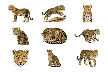 Naklejka premium Set of Nine Detailed Illustrations Featuring Various Poses and Actions of Majestic Wild Leopards