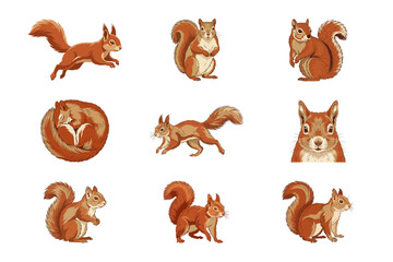 Obraz premium Set of cute watercolor squirrel illustrations depicting various active poses and nature forest lif