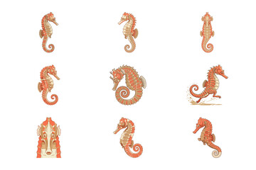 Fototapeta premium Set of Nine Detailed Hand Drawn Seahorse Illustrations Isolated on Plain White Backgrounds Art