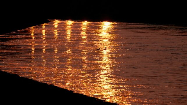 Ripples on a dark river catch golden light reflections during dusk.