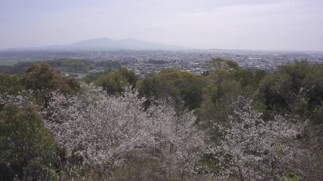 蛇ヶ谷公園展望所から見る玉名市の街並み