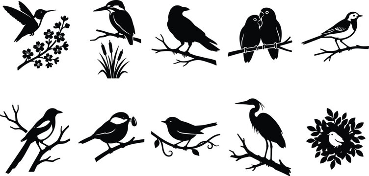 Bird Silhouette Collection with Perched Songbirds Wildlife and Nature Branch Illustrations