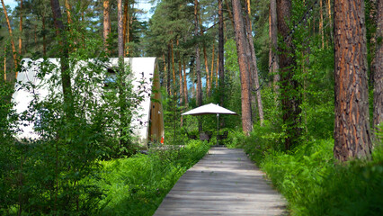 Fototapeta premium Eco friendly luxury glamping site with a wooden boardwalk path leading to a futuristic dome cabin nestled in a green pine forest.
