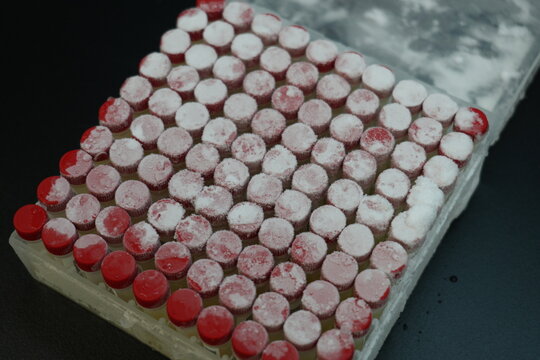 Frozen laboratory cryovials stored in a biobank freezer rack.
