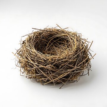 Empty bird nest made of dry twigs and green grass