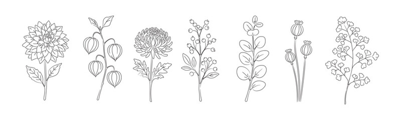 Obraz premium Autumn botanical decor line art set