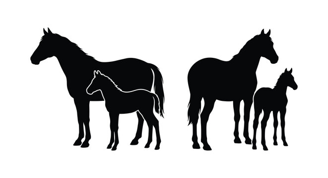 Two pairs of horses and foals depicted in a black silhouette against a white background silhouette horse foal