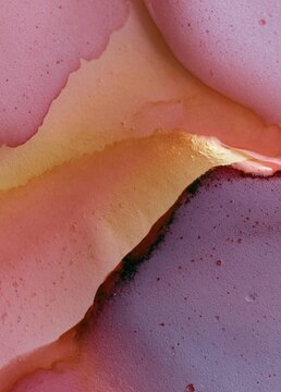 Abstract close-up of a pink and orange color scheme. the colors are arranged in a way that creates a sense of depth and dimension.