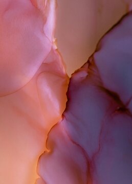 Close-up of a pink flower petal. the petal is in focus, while the background is blurred, creating a soft and dreamy effect.