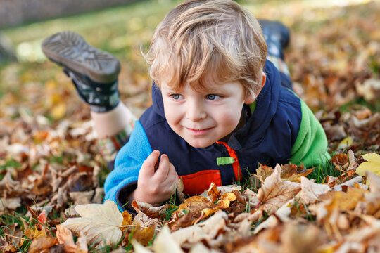 Cute little boy playing with maple leaves outdoors. Happy child walking in autumn park. Toddler baby boy wears trendy jacket . smiling Blonde boy portrait. Autumn fashion. Stylish child outside.