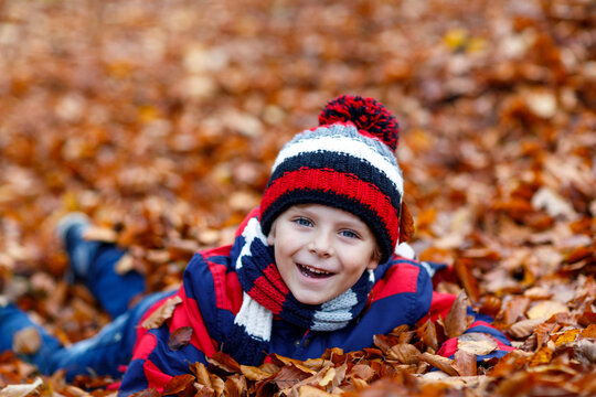 Cute little kid boy on autumn leaves background in park.