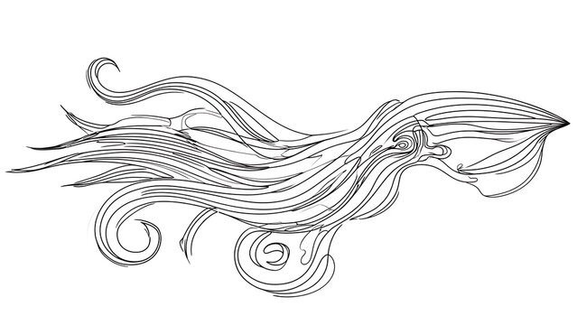 Elegant squid line art drawing white background.