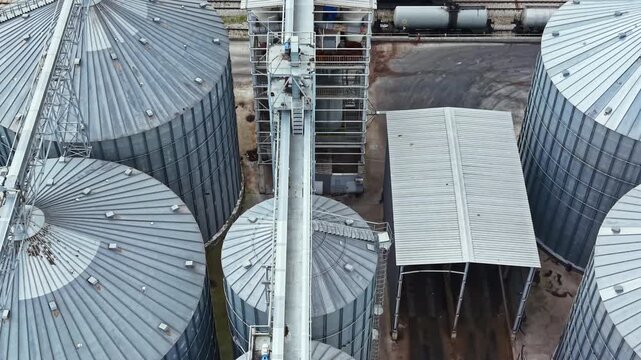 Silos stand in rows at a farm in a rural area. A transport system connects the silos, moving grain. Trucks are parked nearby. It is daytime and the sky is clear.