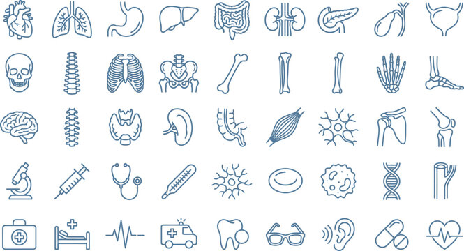 Medical and anatomical line icons set including human organs skeletal system and healthcare equipment for biology or hospital design.