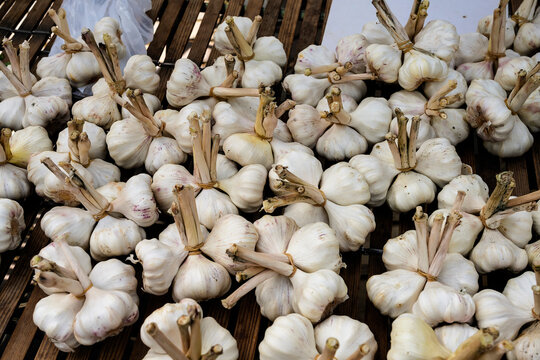 Knoblauch