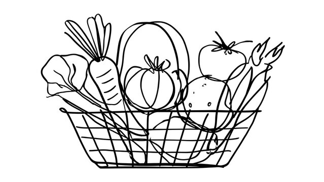 Hand drawn basket of fresh vegetables white background.
