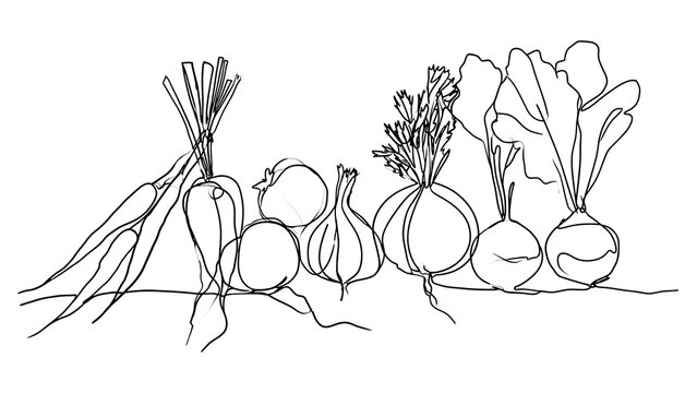 Hand drawn vegetables on white background.