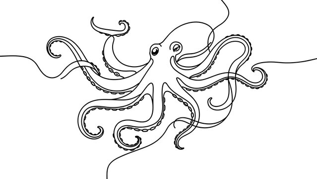Elegant octopus line art illustration white background.