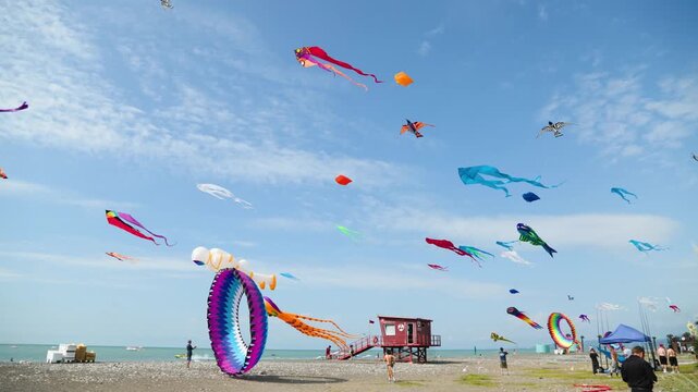 Vibrant kites fly over an oceanfront beach, creating a colorful spectacle.