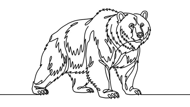 Illustration of a brown bear walking on white background.