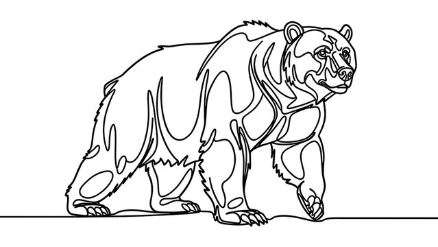 Line art bear illustration on white background.