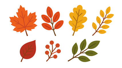 Set of colorful autumn leaves and berry branches illustration © Artstock