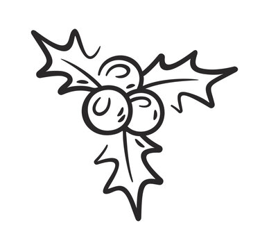 Holly Berry Cluster Sketch Line Art