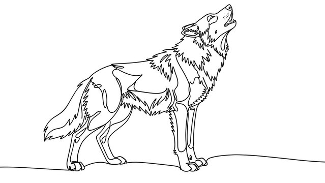Howling wolf illustration on white background.