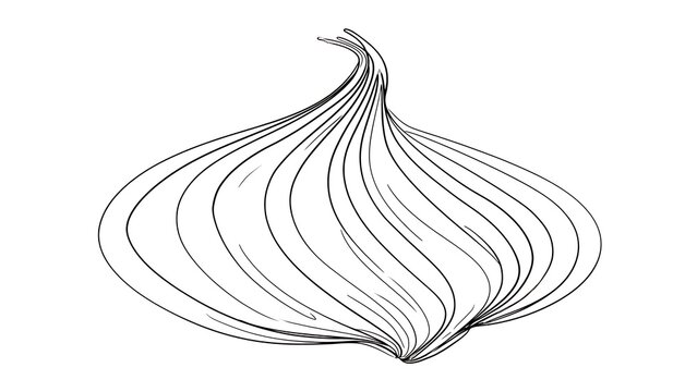 Onion line art illustration white background.