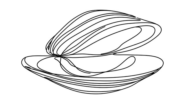 Open mussel shell illustration on white background.
