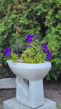 Flowers grow in a toilet planter surrounded by green bushes in a garden setting