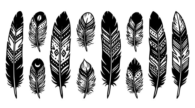 Tribal boho bird feather black silhouette set and decorative ethnic plumelet vector elements on white