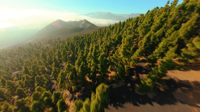 Tajogaite Volcano, La Palma, Canary Islands, Spain