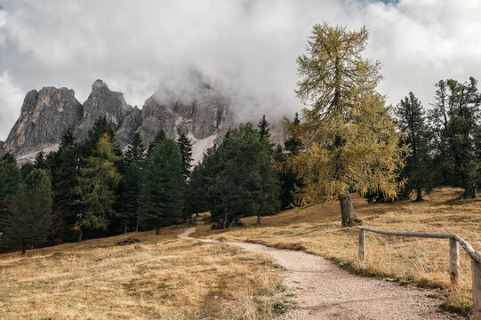 Autumn hiking trail with larch tree and misty mountains in the Dolomites, Italy